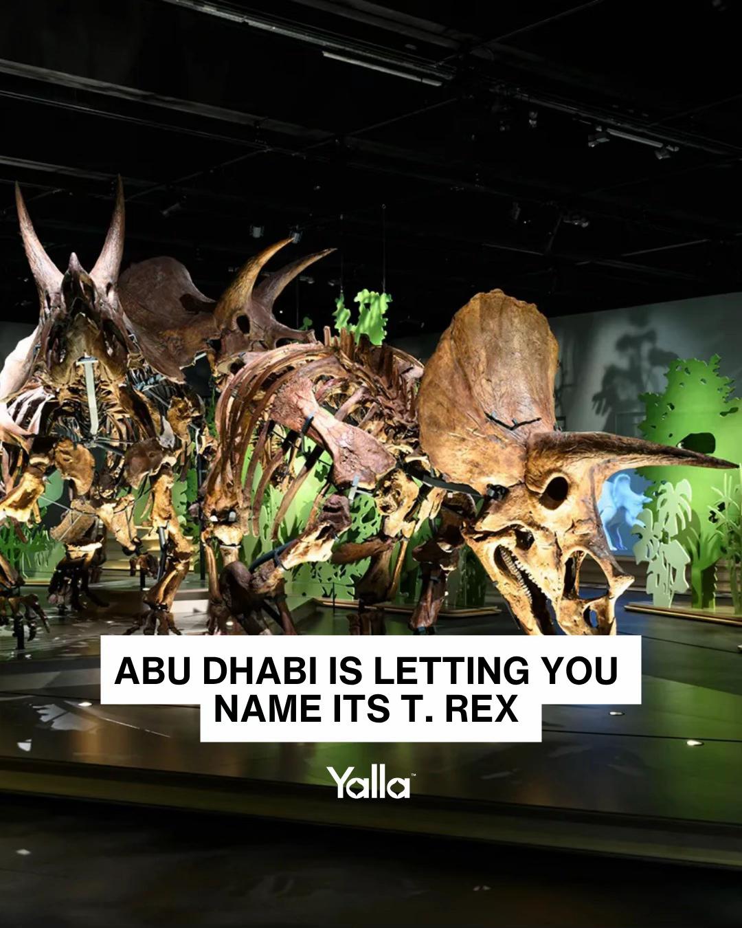 @Yalla Abu Dhabi