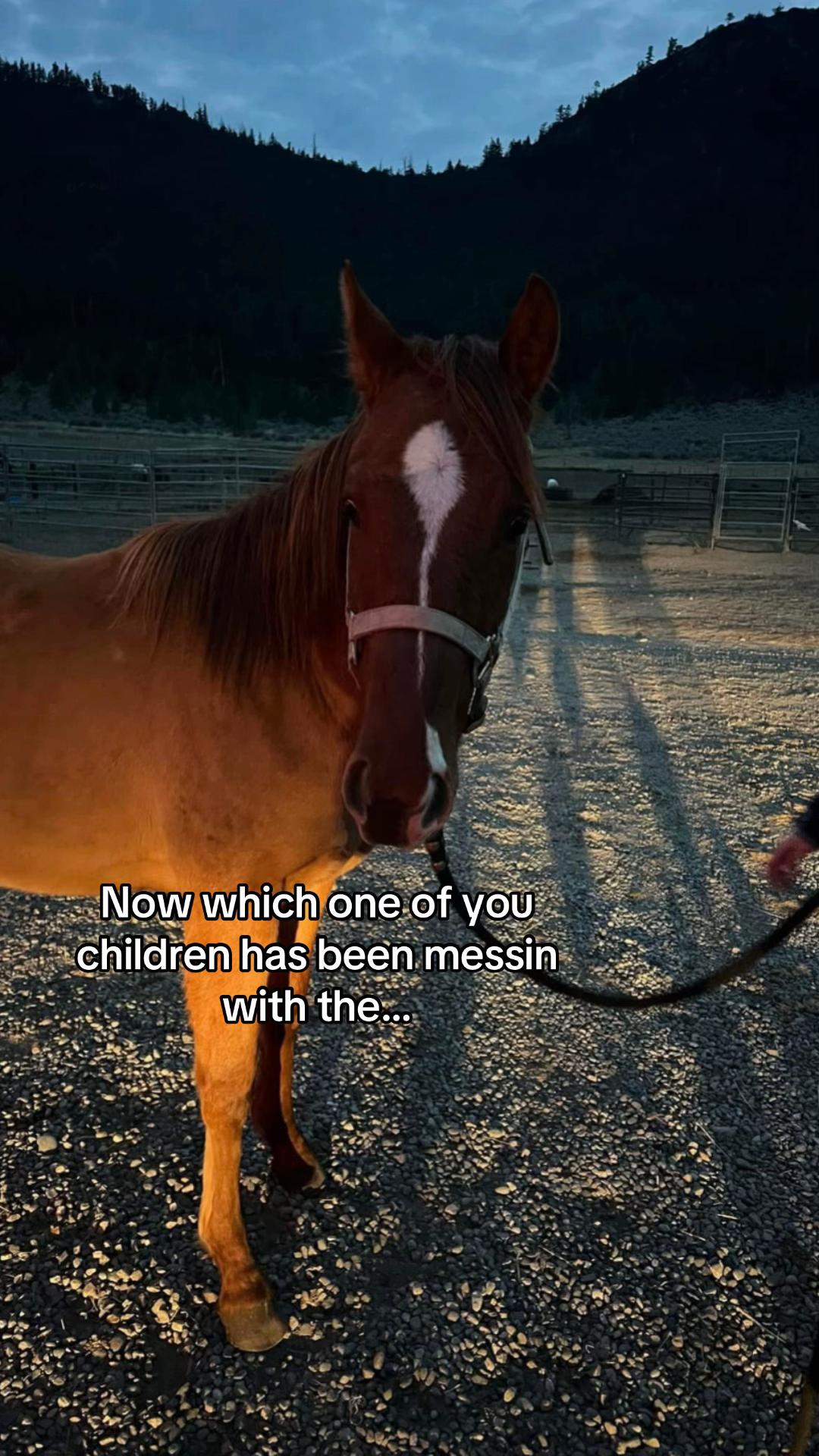 @Sarah Reed