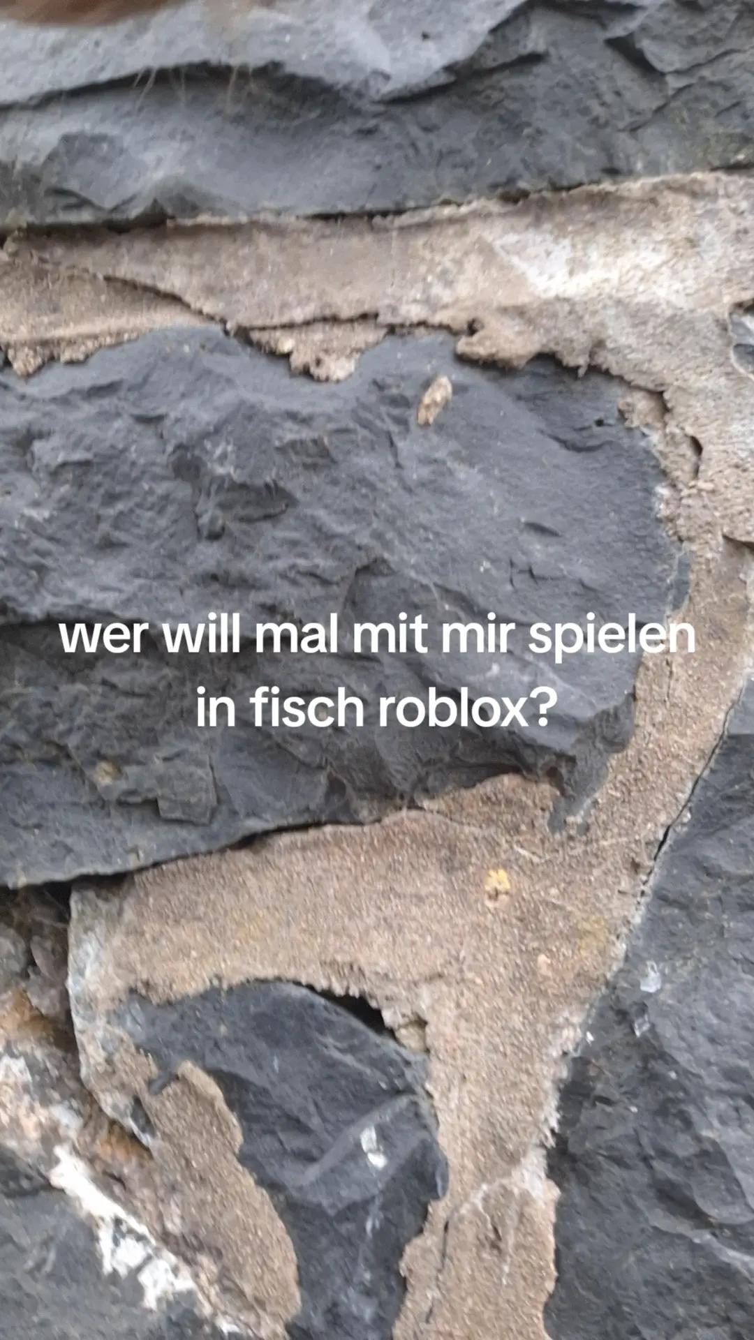 @67noob_ts seid 1 jahr zur&uuml;ck