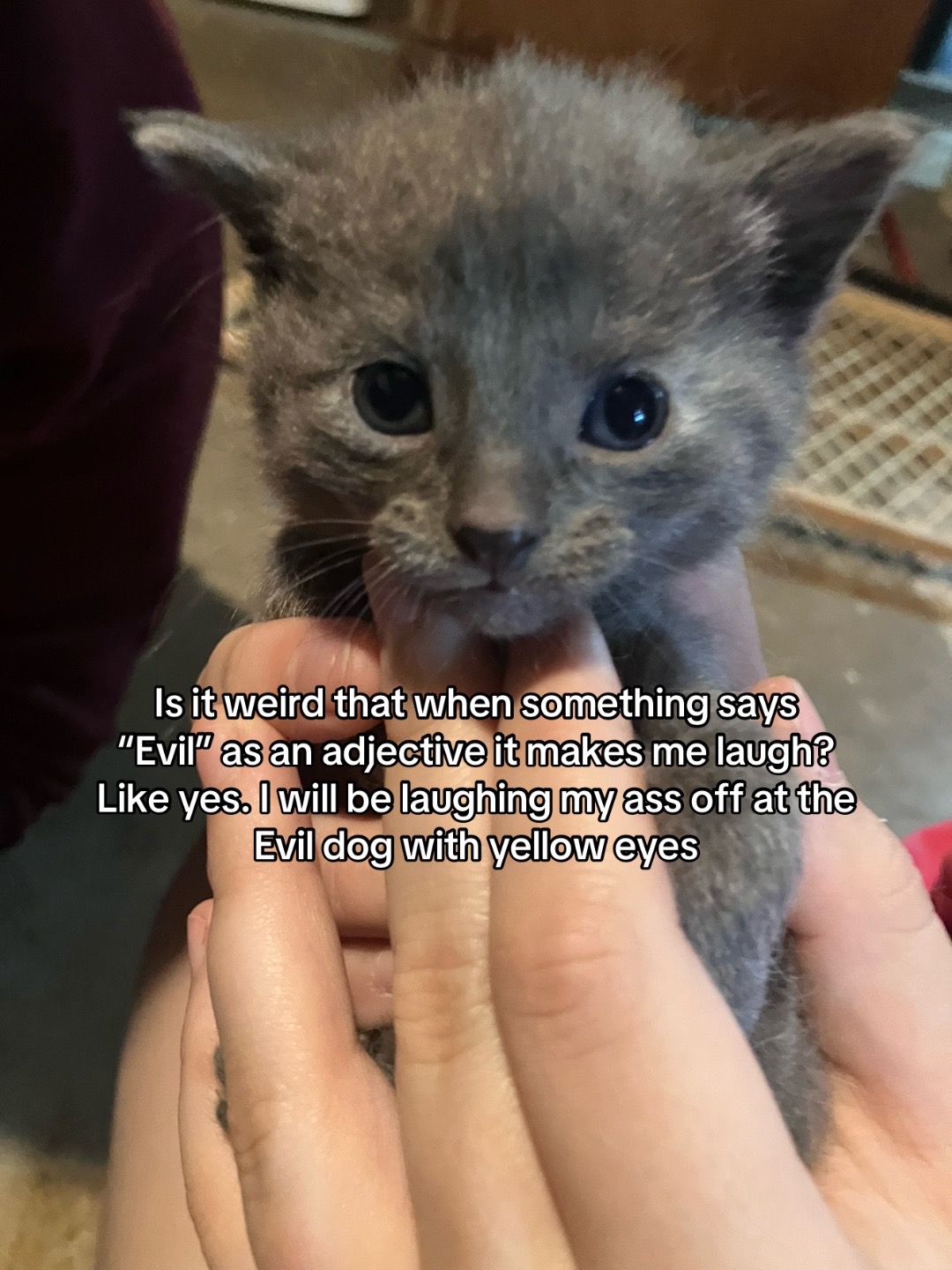 @imacat!