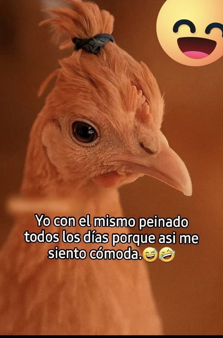 @Lizbeth❤️💃
