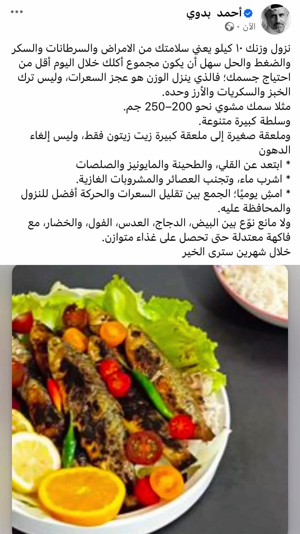 @احمد بدوي الملهم