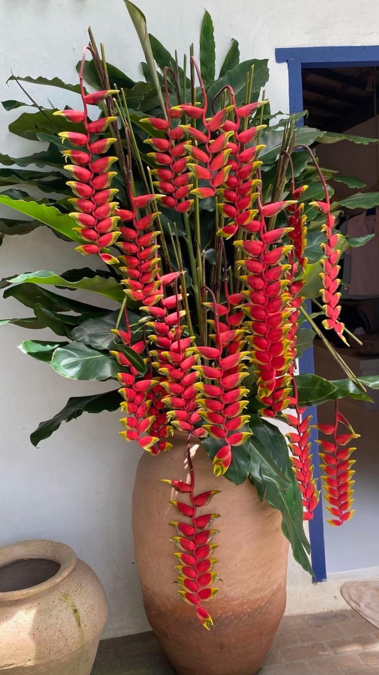 @Tiệm Lá Nhỏ