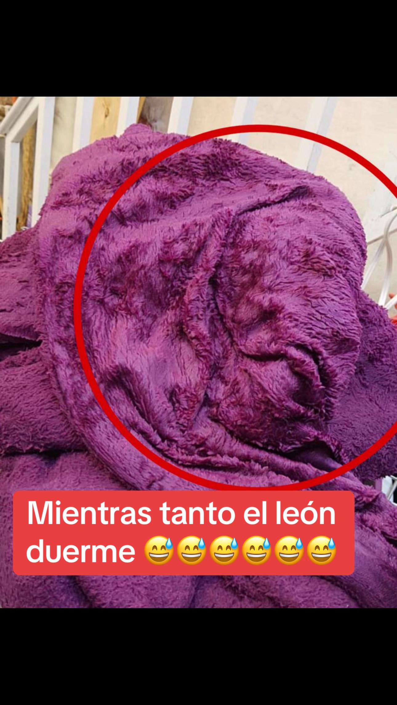 @🇲🇽𝑨𝒎𝒊𝒈𝒂𝒛𝒐🇲🇽🌮💸