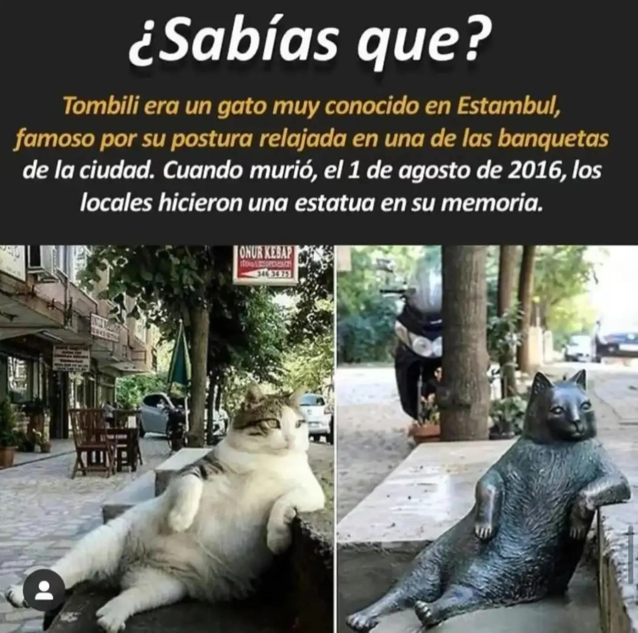 @negtt