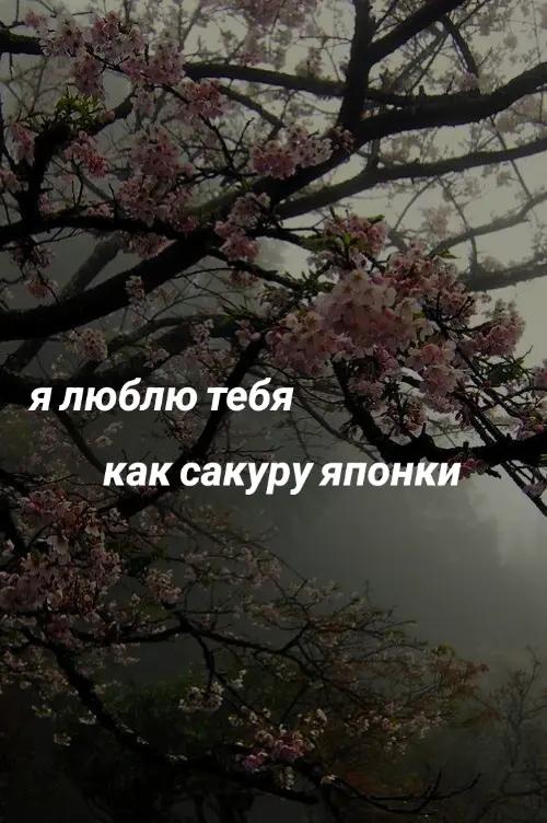 @♡Кри$