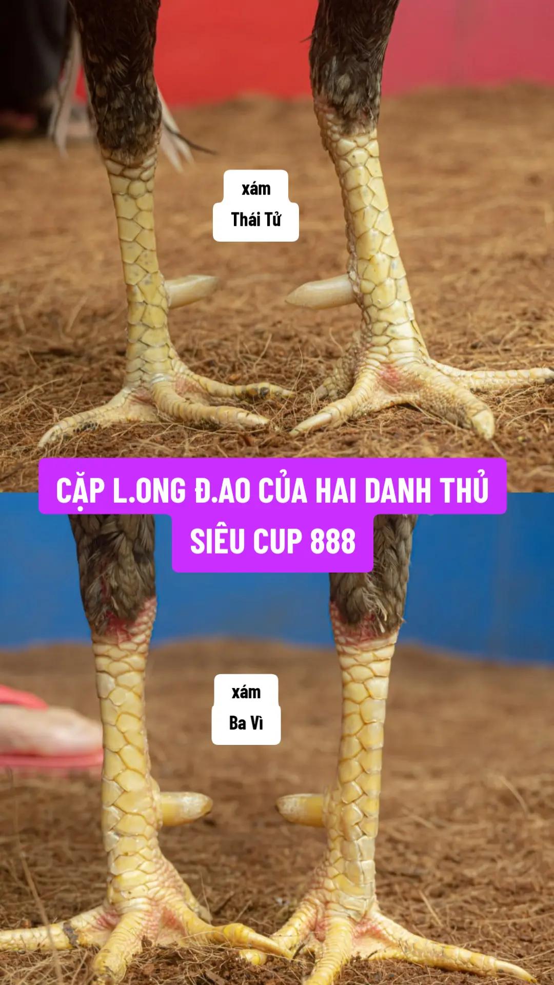 @nông thành trung