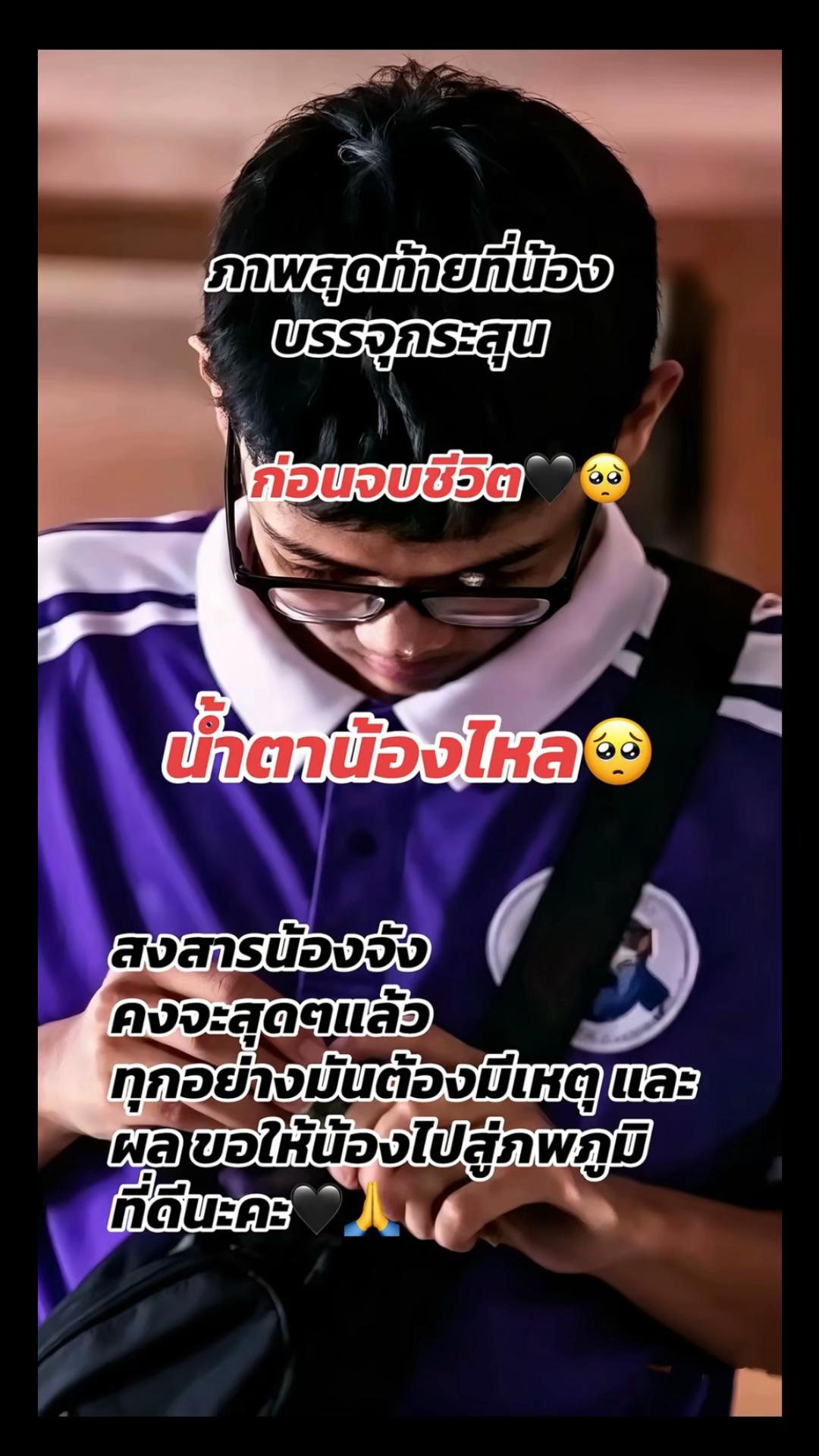@บ้านแมวน้อยหอยสังข์ cattery