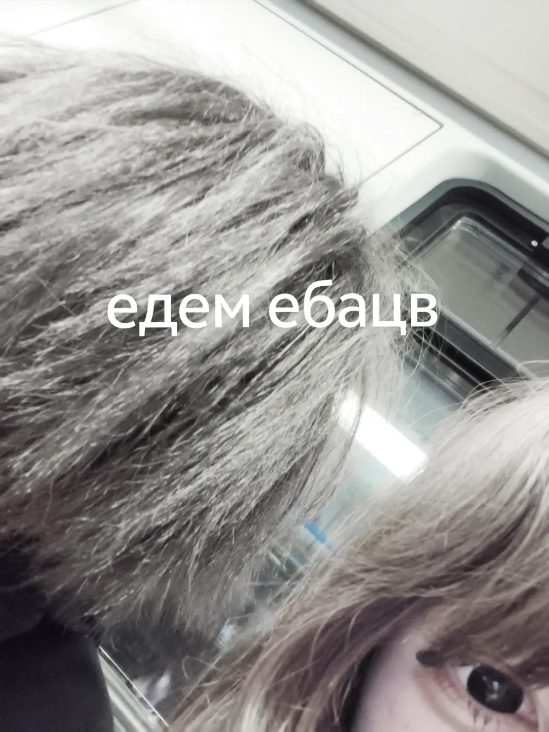 @tgk - рп akino