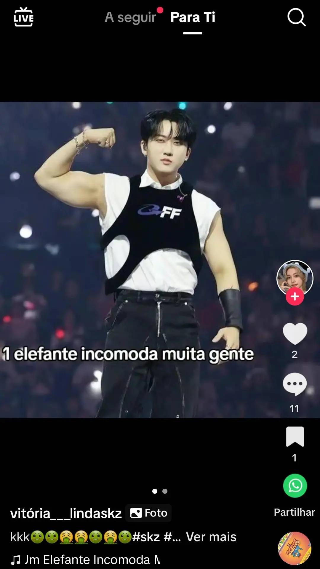 @~sa(channie wf)🇧🇷