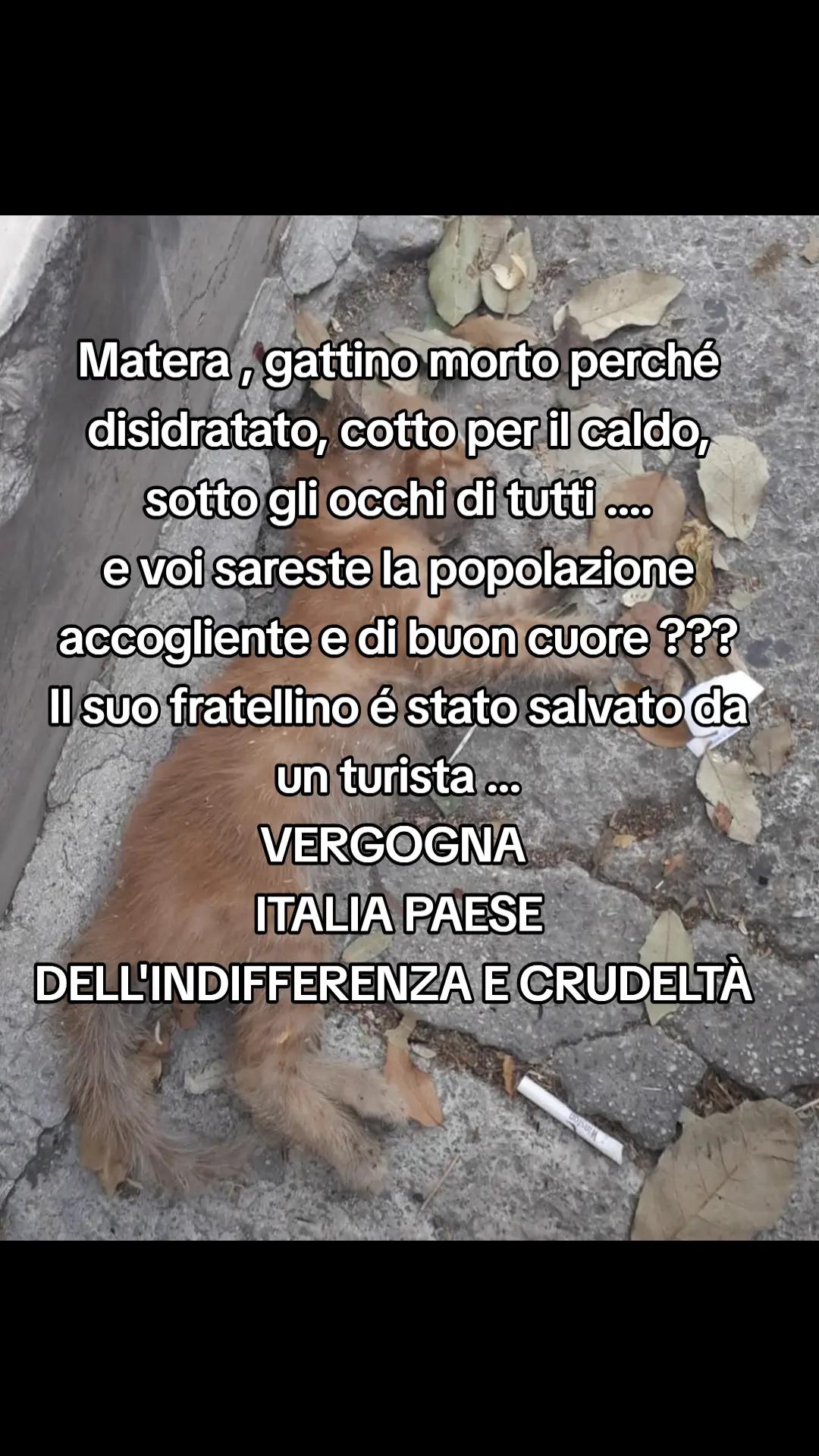 @Eleonora