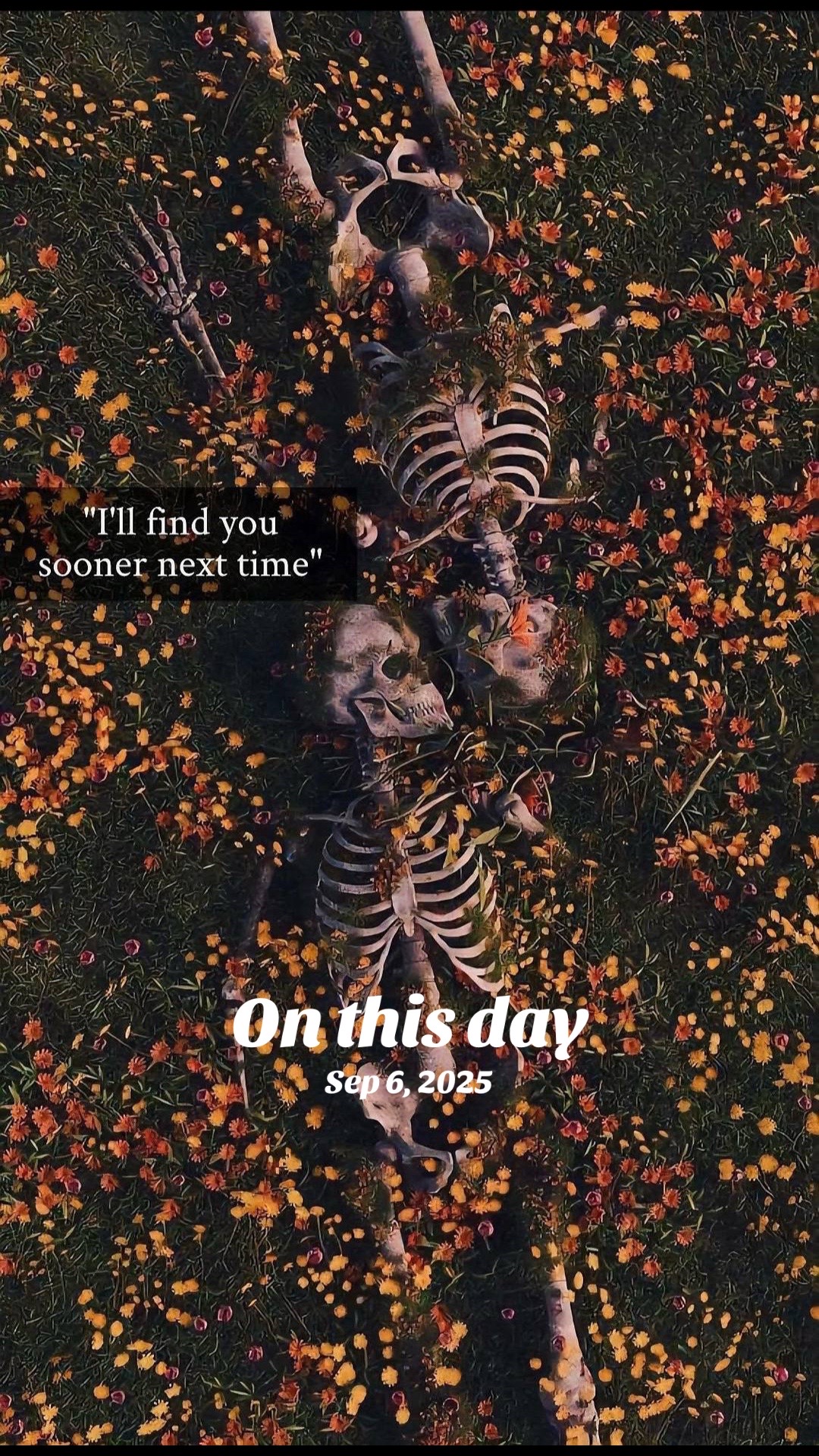 @🖤bâd🩸déçiśiøñ🖤