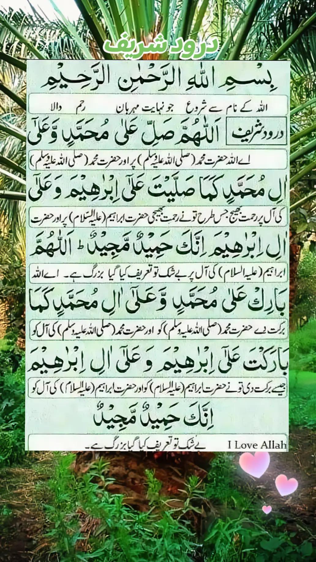 @dilmuhammad