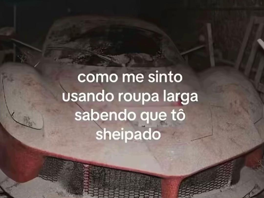 @sofia borghi