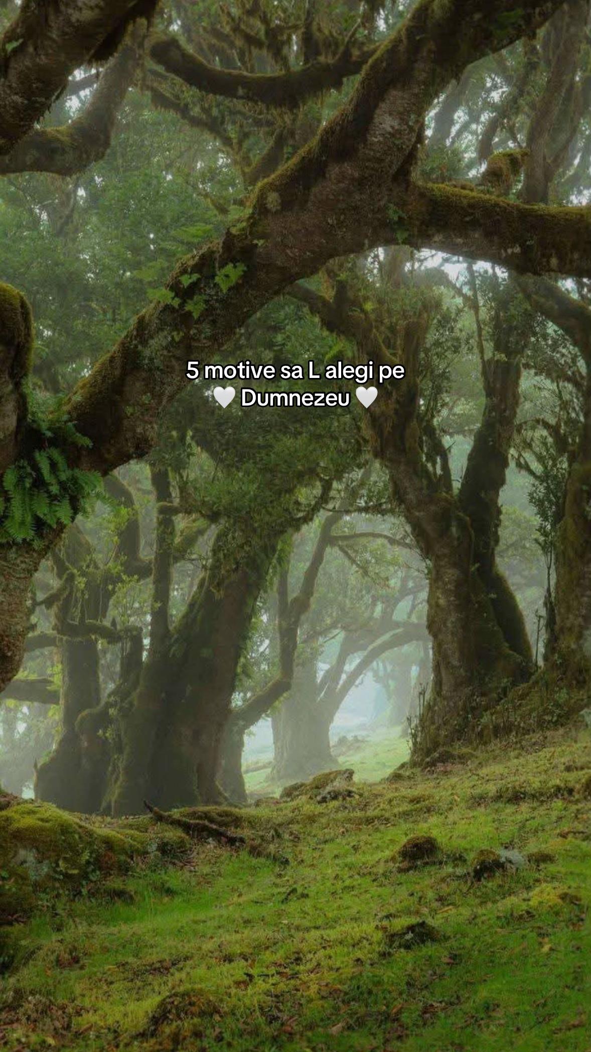@𝐼𝑠𝑢𝑠 𝑡𝑒 𝑖𝑢𝑏𝑒𝑠𝑡𝑒