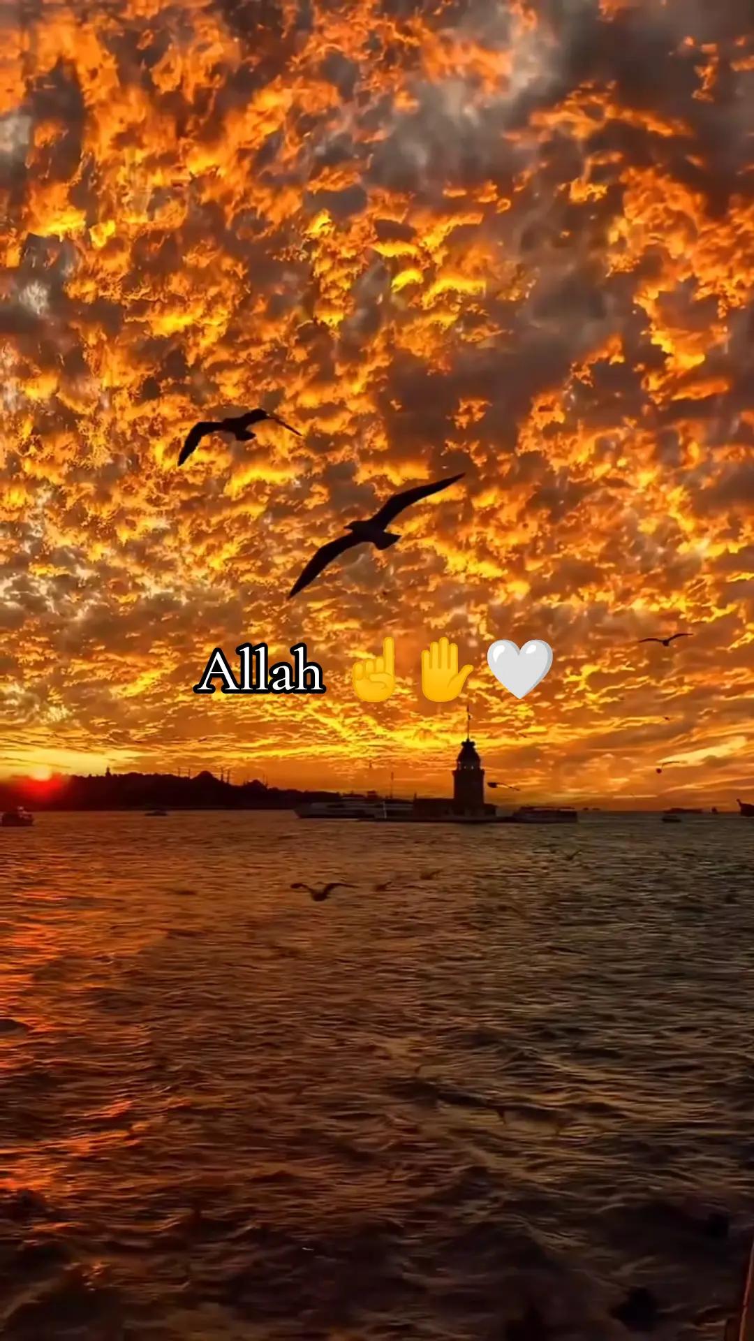@😶&zwj;🌫️☝️أنطونيو