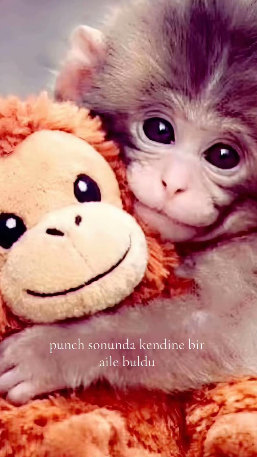 @esmeravcıları😜