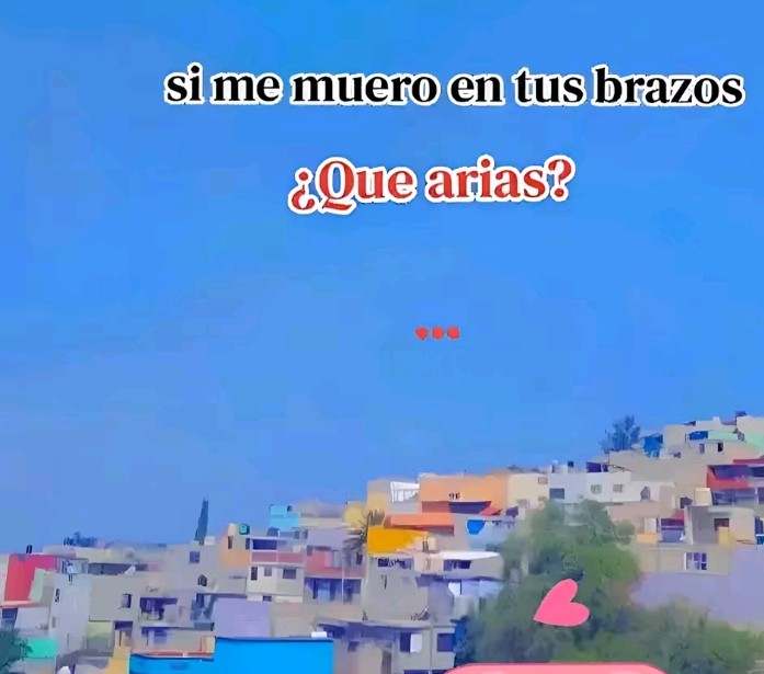 @ivanna14