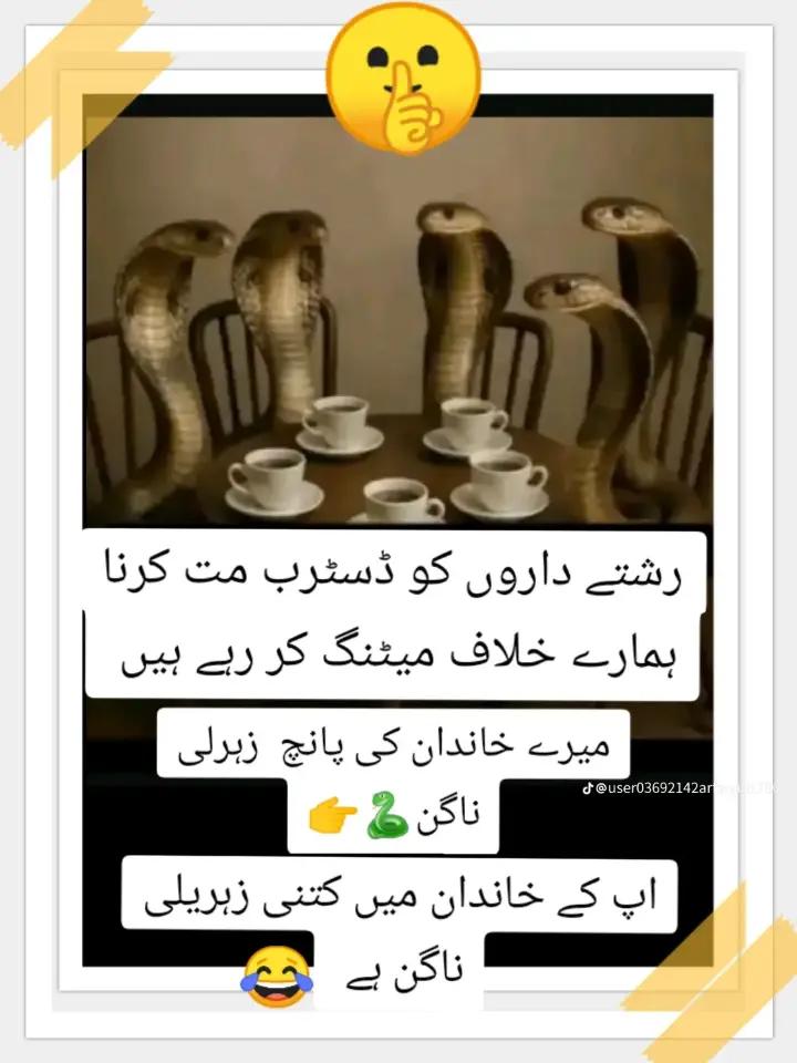 @Dua Fatima
