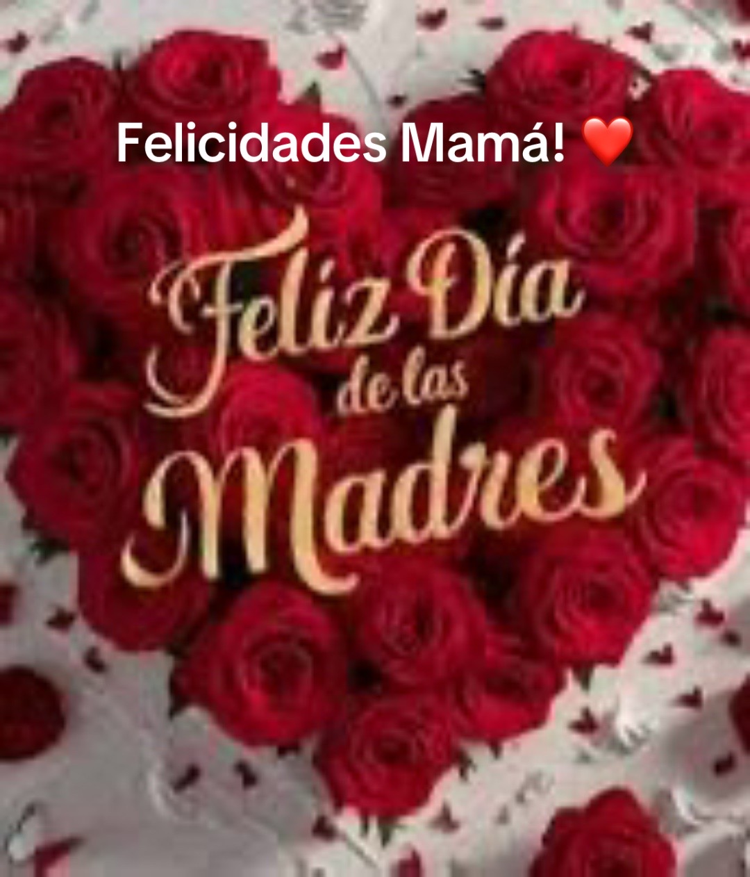 @YadiraCoradin
