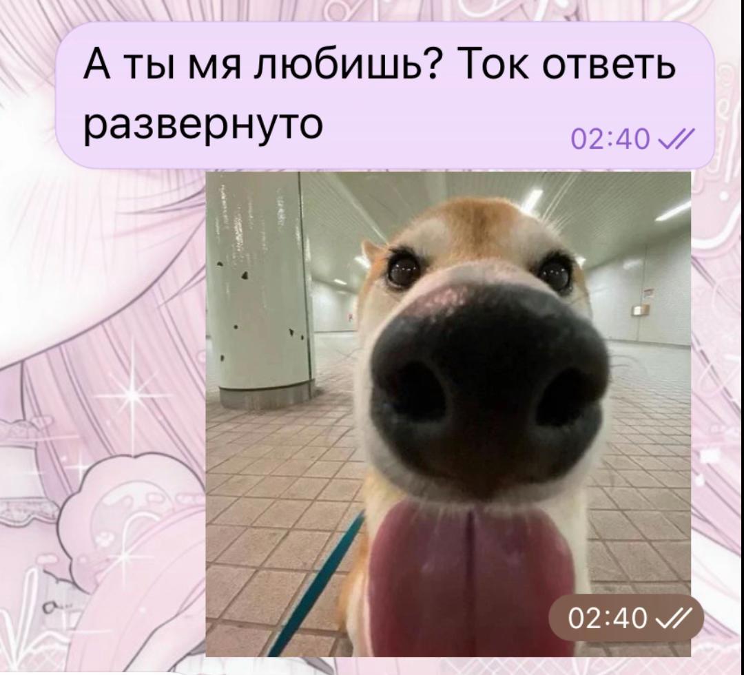 @𝑳𝒊𝒂, 𝒐𝒌?