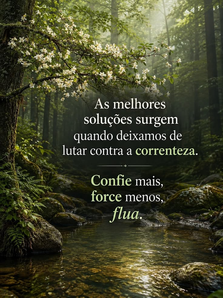 @Ocimar.