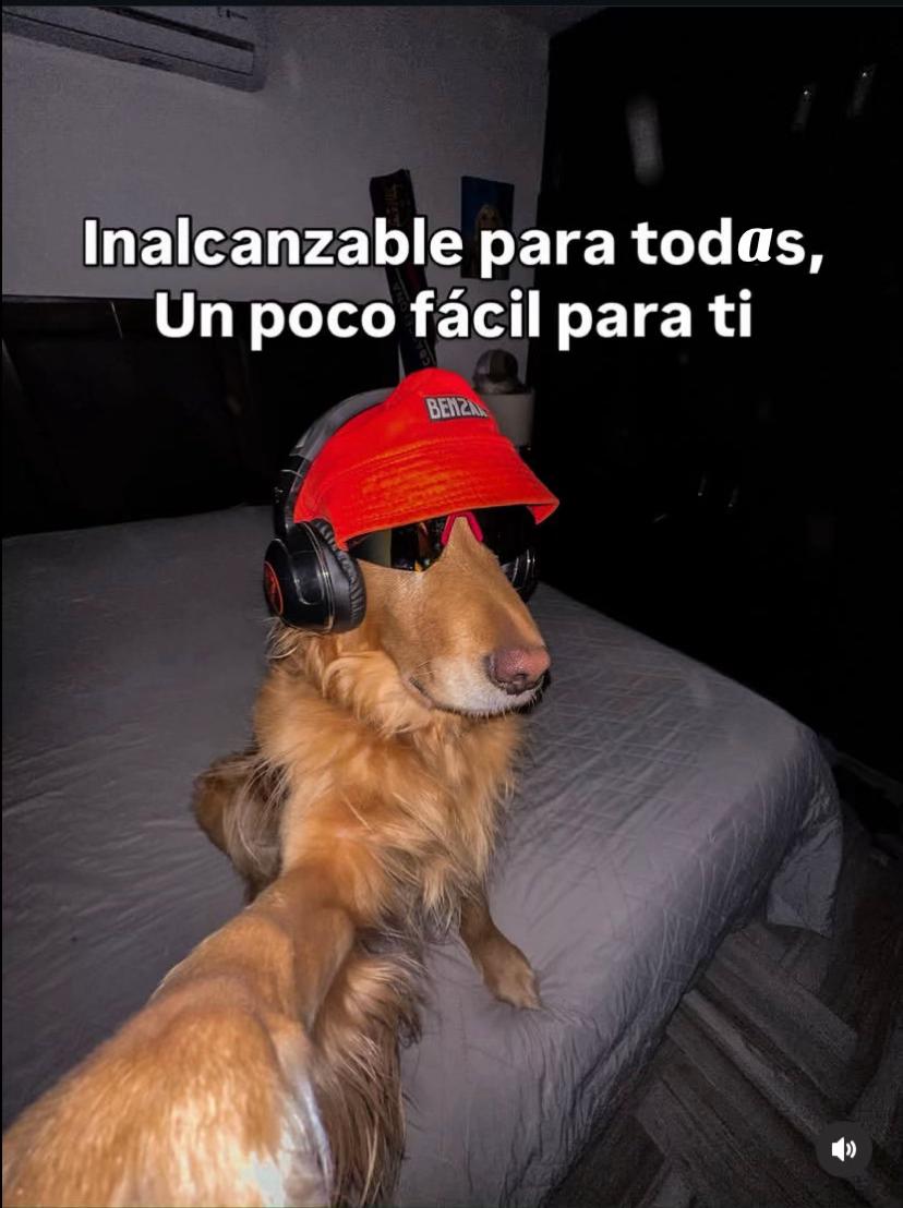 @Erick_19