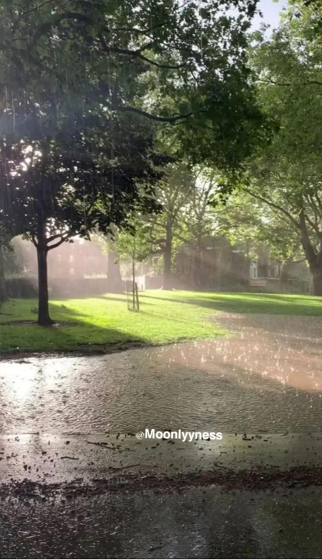 @𝗠𝗼𝗼𝗻𝗹𝘆𝘆𝗻𝗲𝘀𝘀