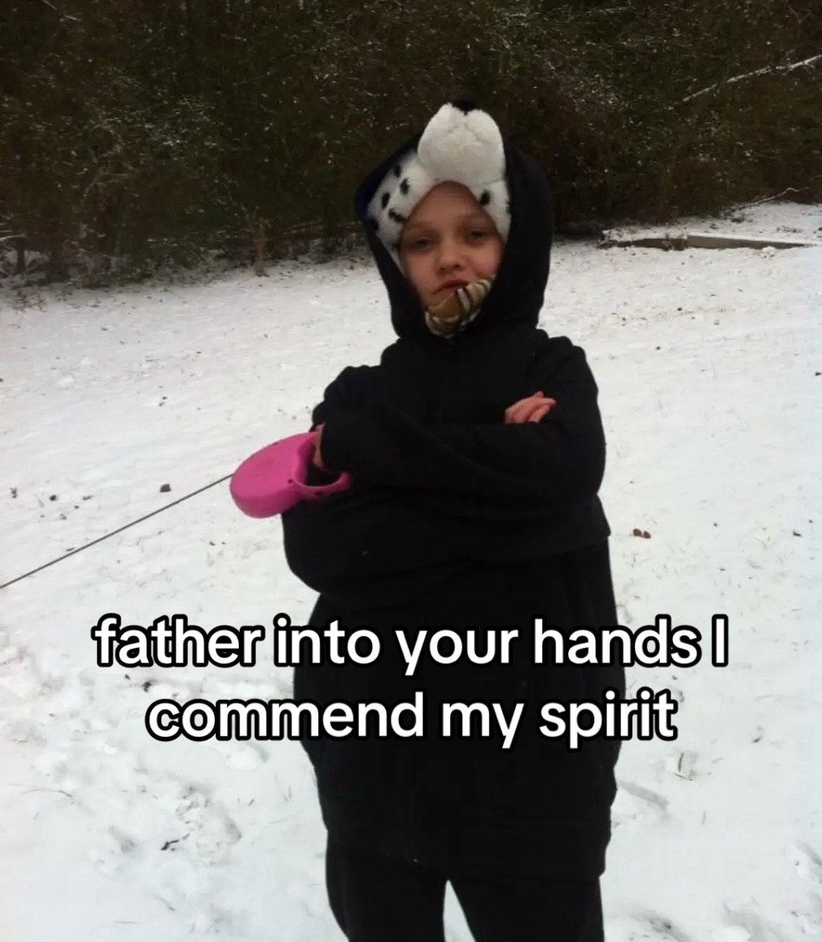 @Collie
