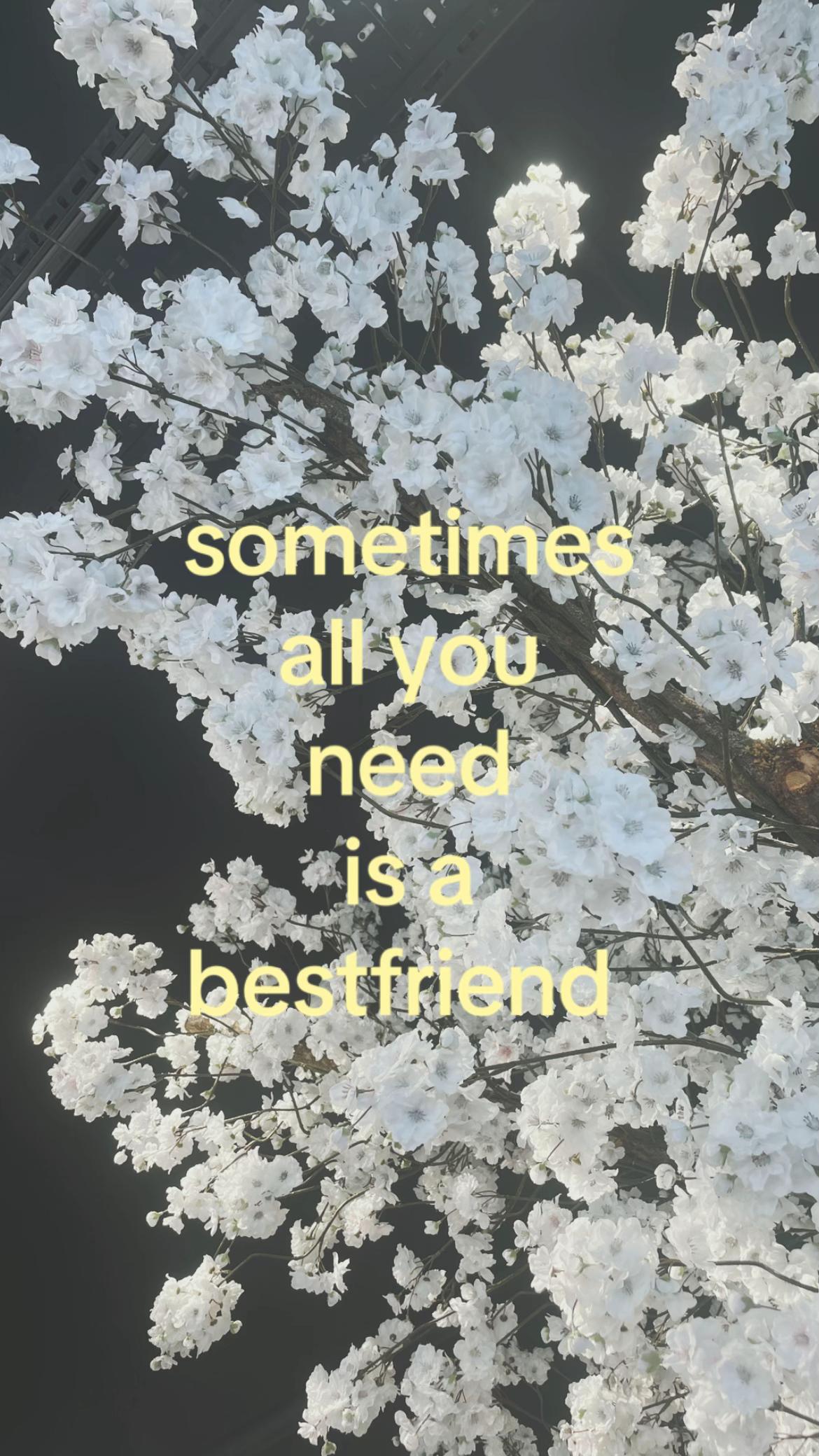 @.𝐬𝐩𝐚𝐦.