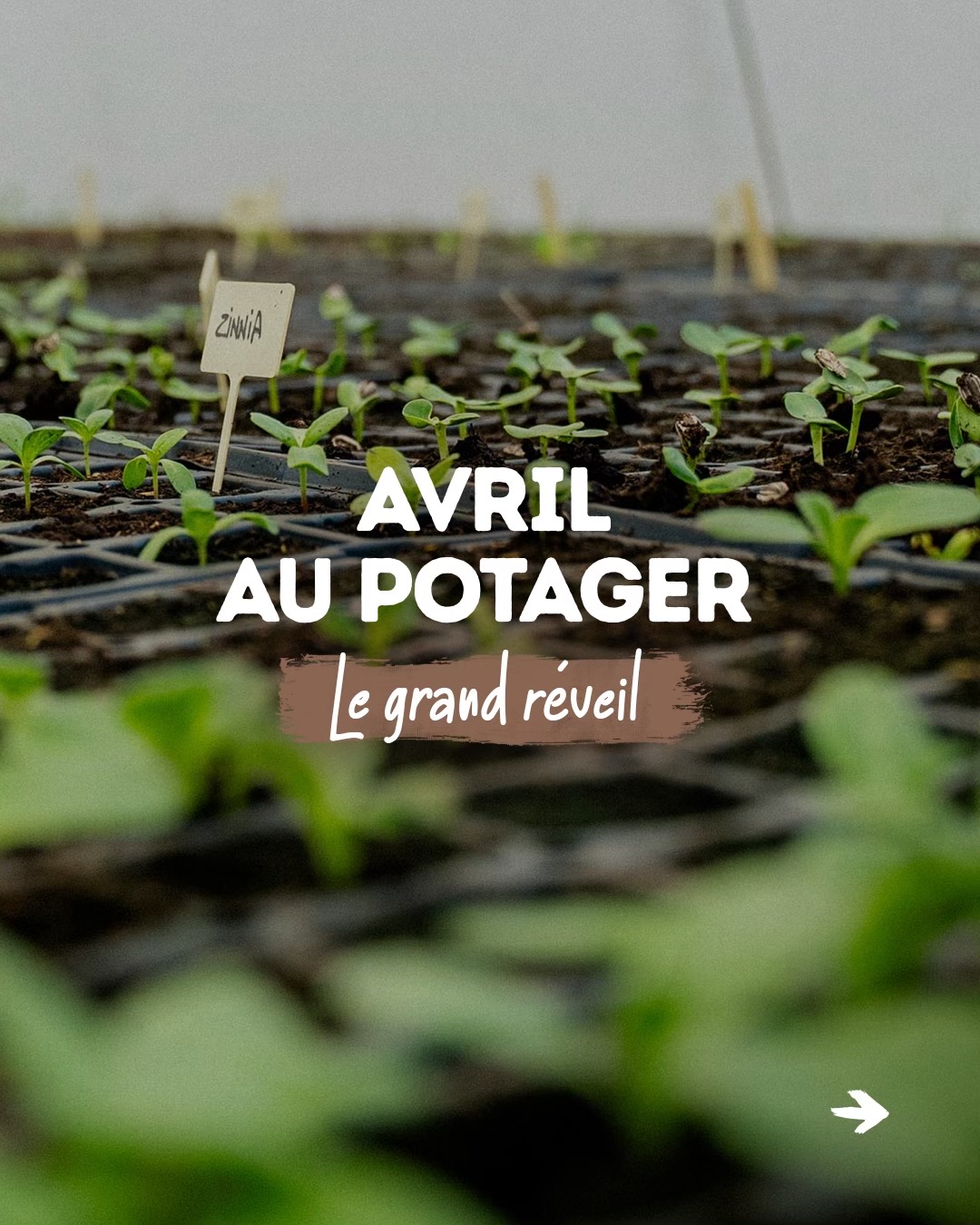 @Goran Le Permaculteur