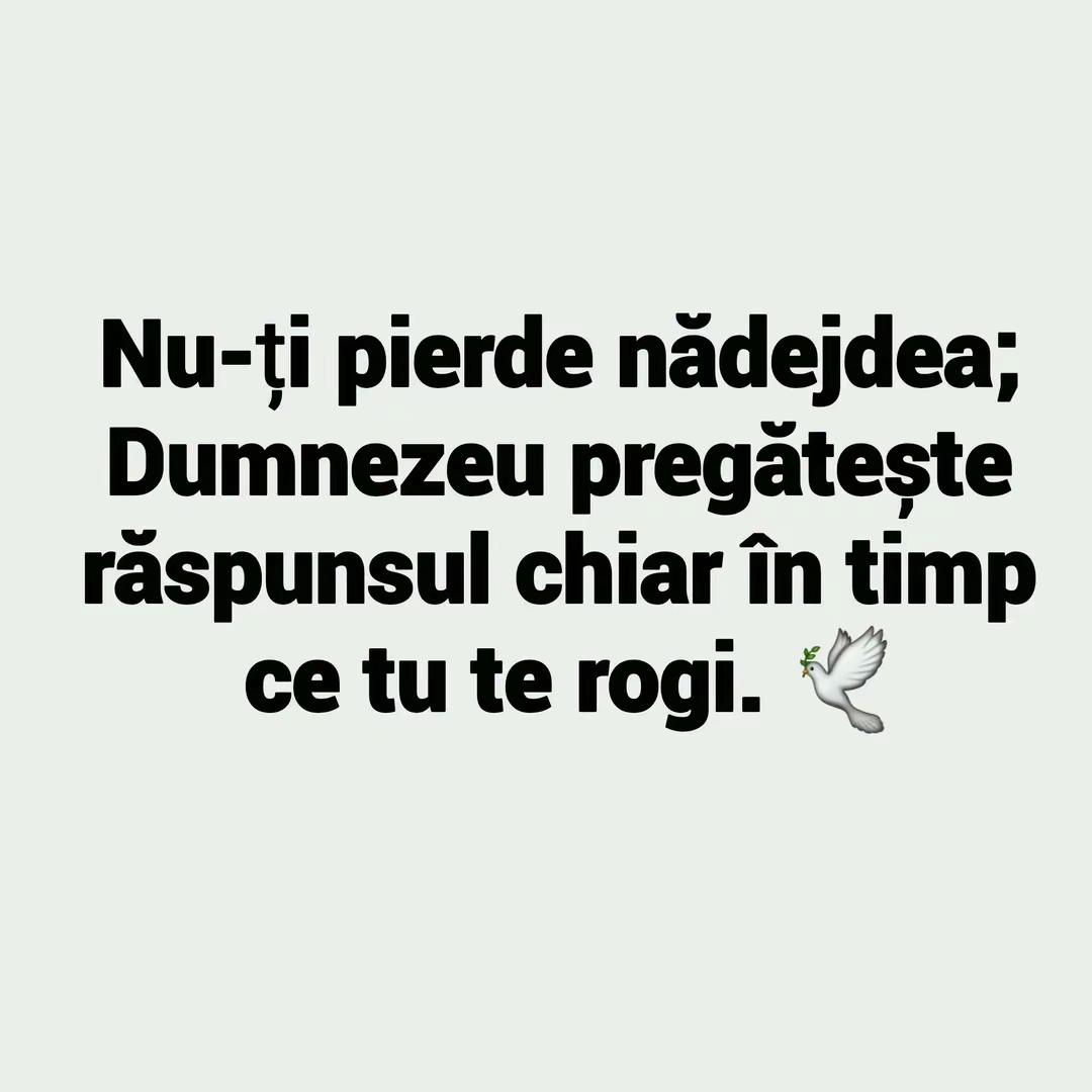 @Vladimir ♈ 18
