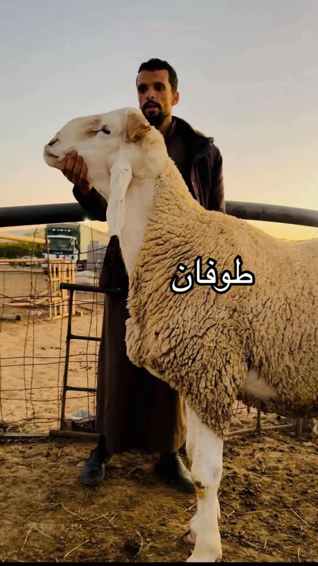 @ياسين بن زيتون