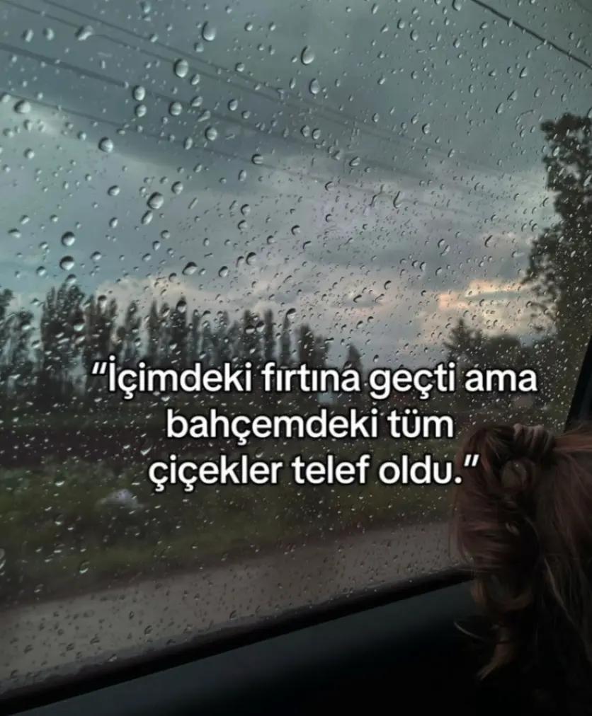 @hayattan izler