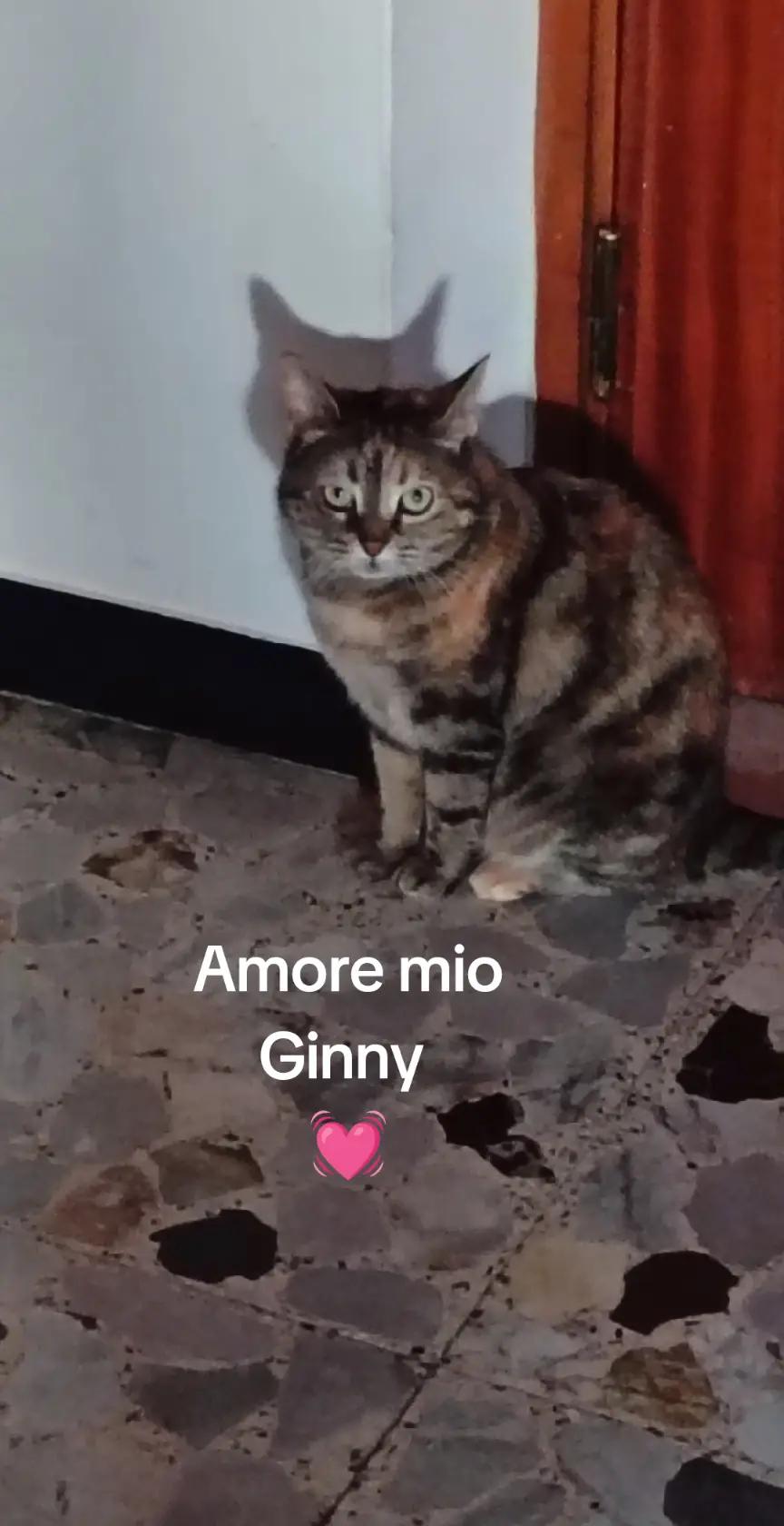 @🖤Lupa🖤