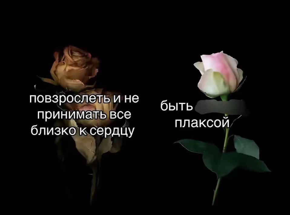 @чичаа😻