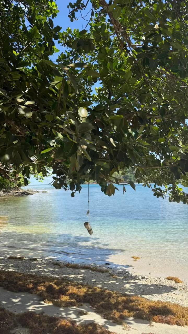 @AA🐚