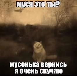 @user133769961717