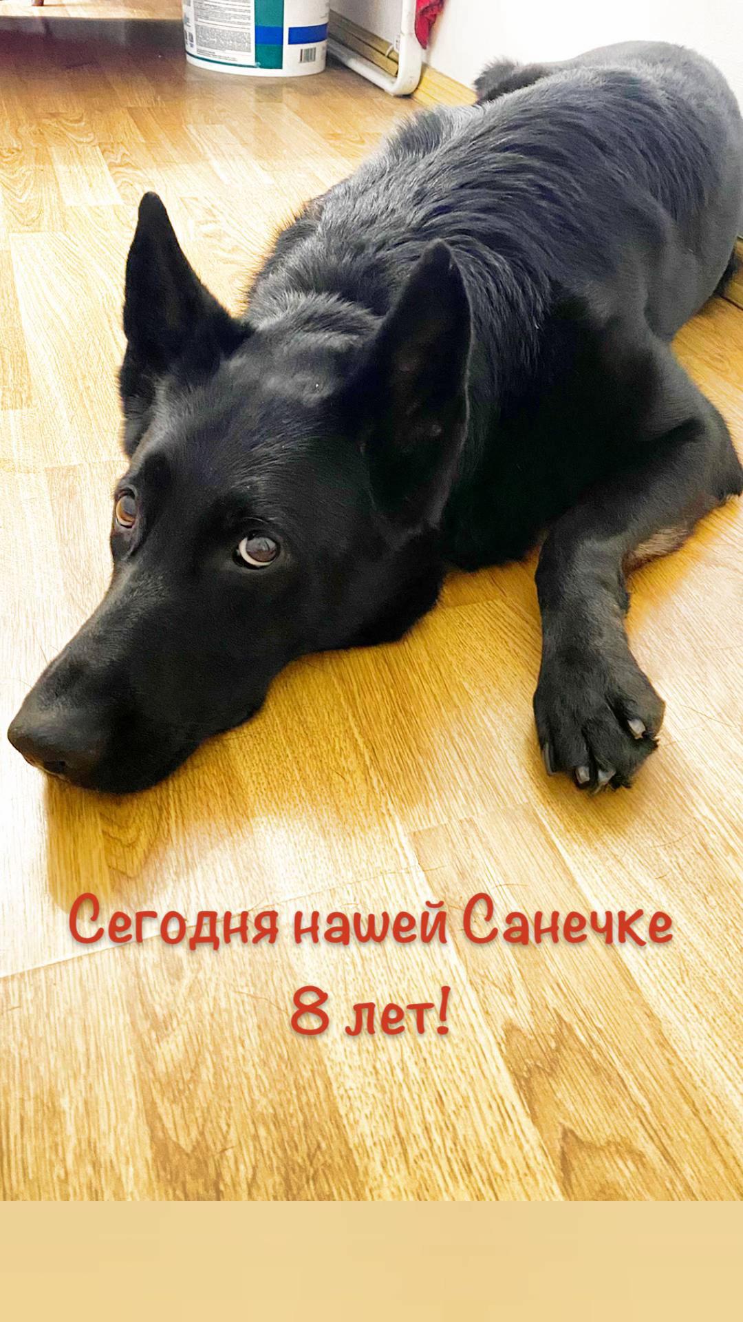@Мама Огра