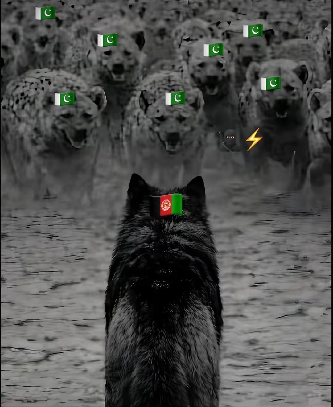 @KF , LOFAR👑🇦🇫👑