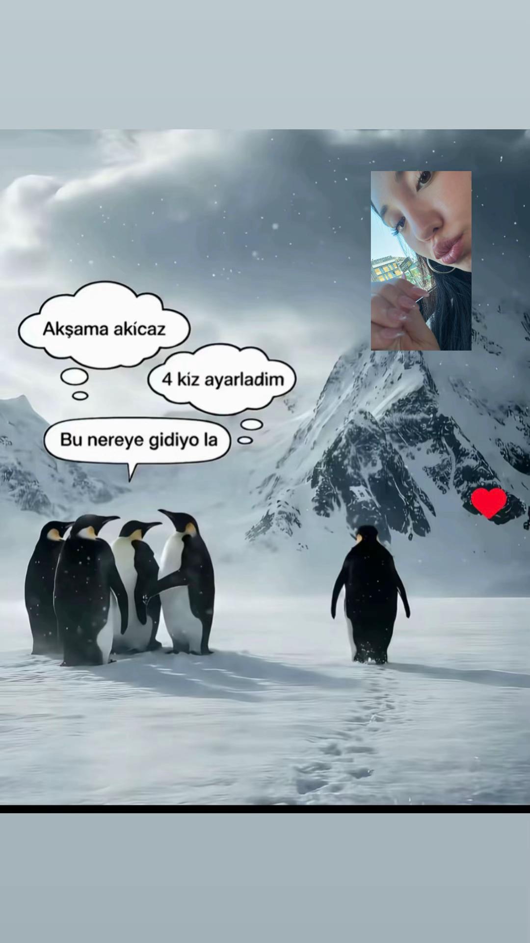 @bugra🇹🇷
