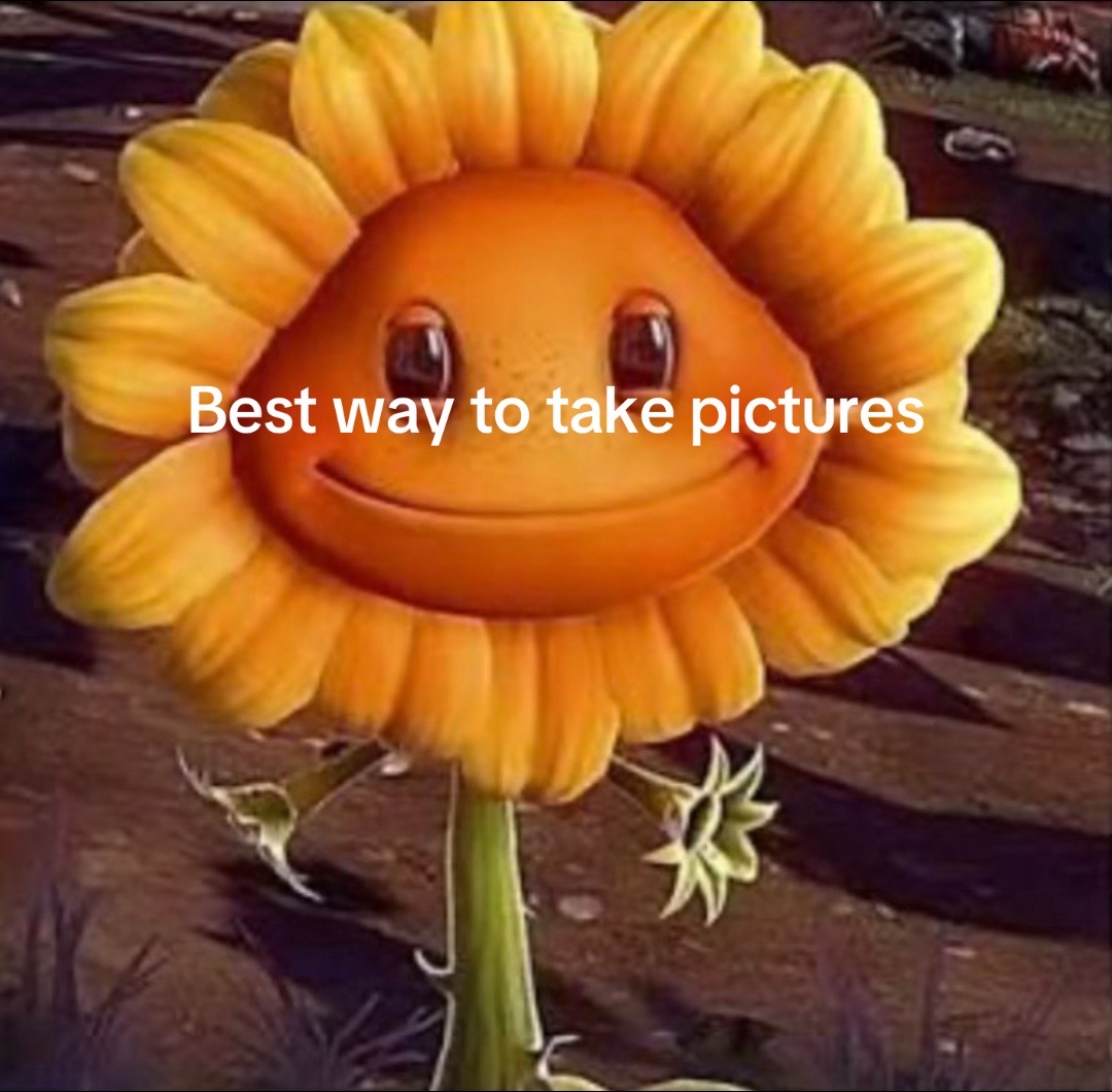 @rok