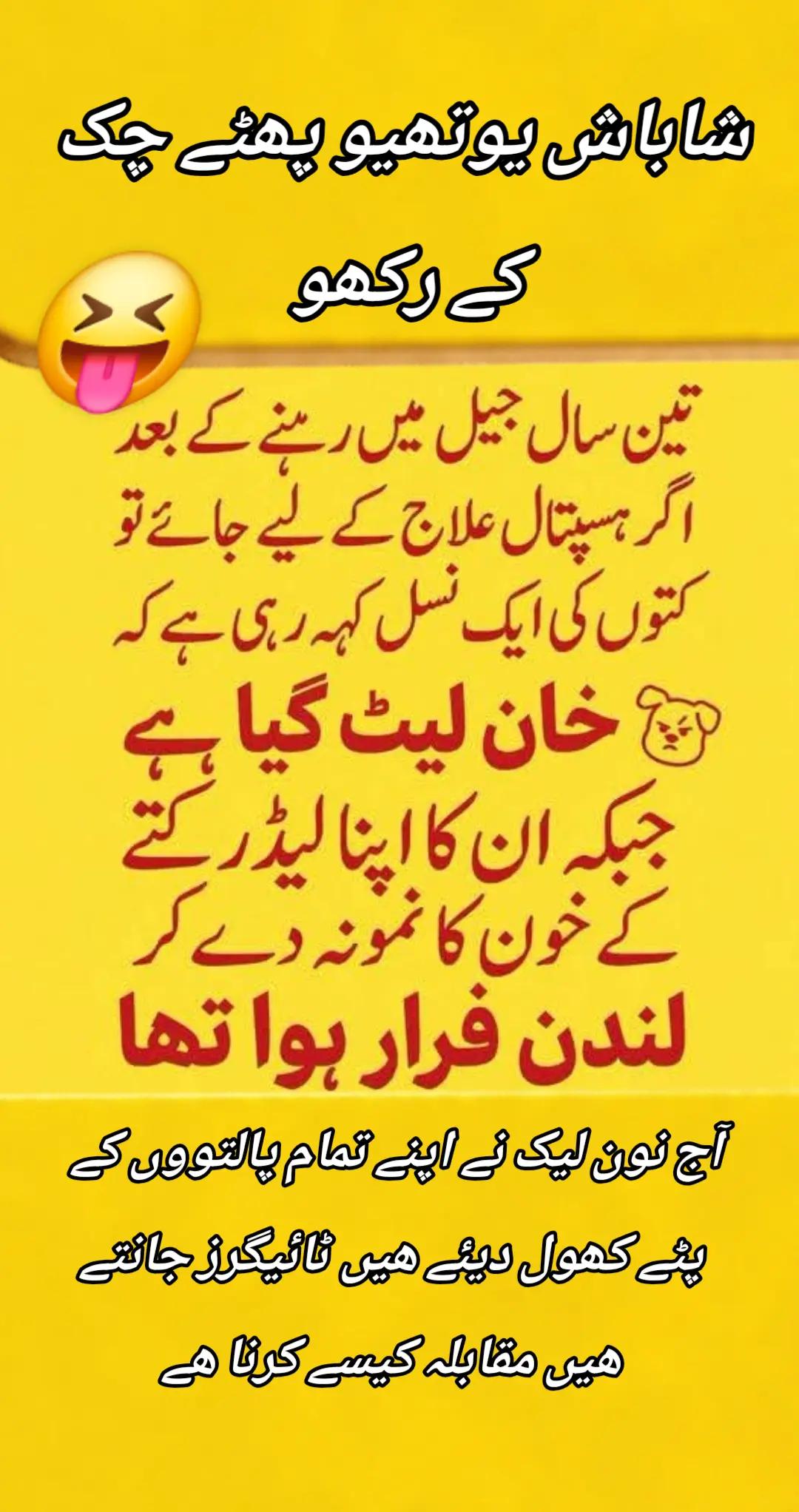 @اڈیالہ 804