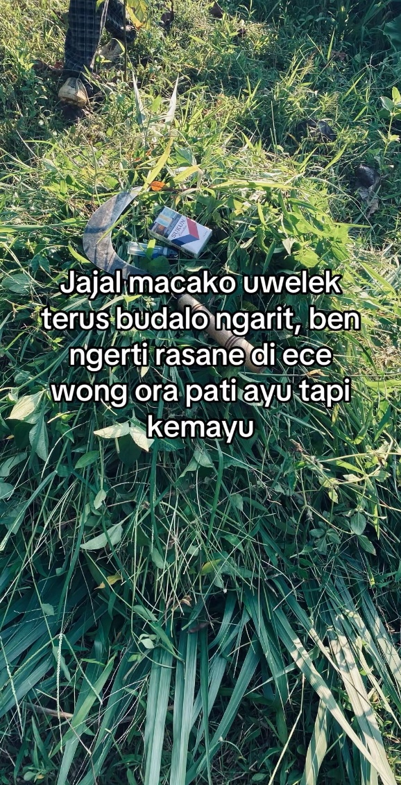 @๐ท๏ธ