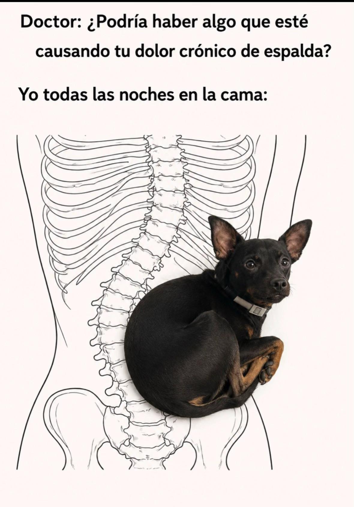 @PanDOGuitos 🐶