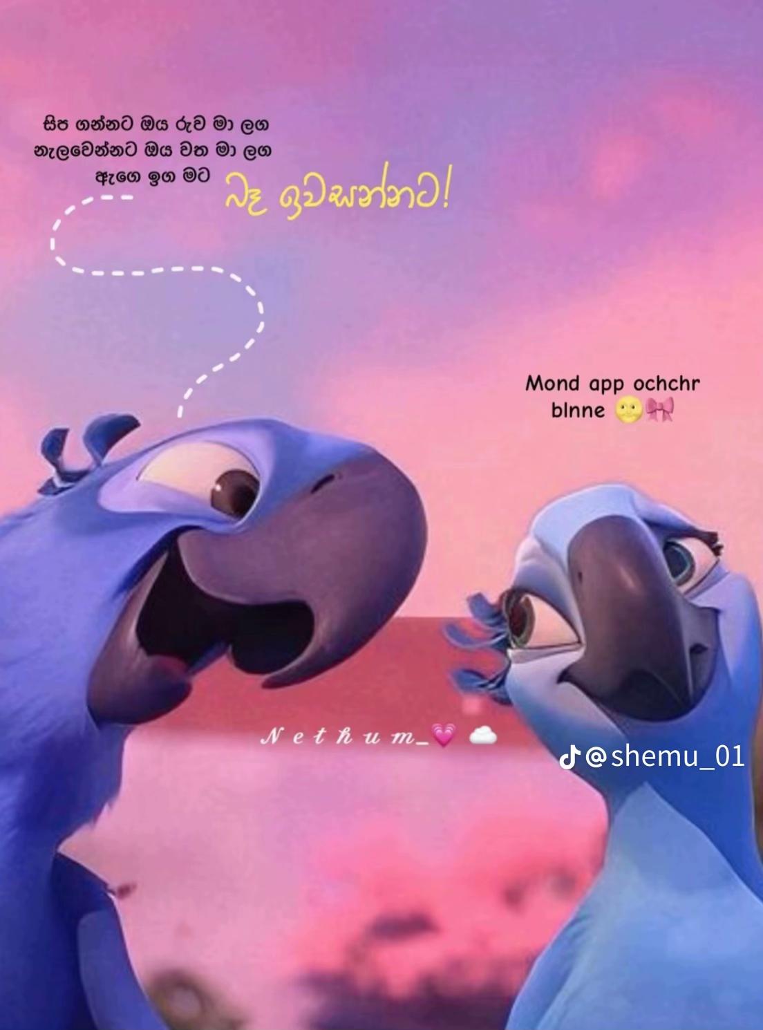 @Sosee𓍢ִ໋🌷͙֒ ᥫ᭡