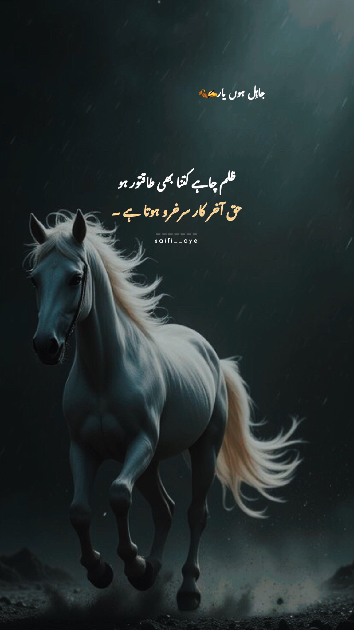 @جاہِل ہوں یار 🍂