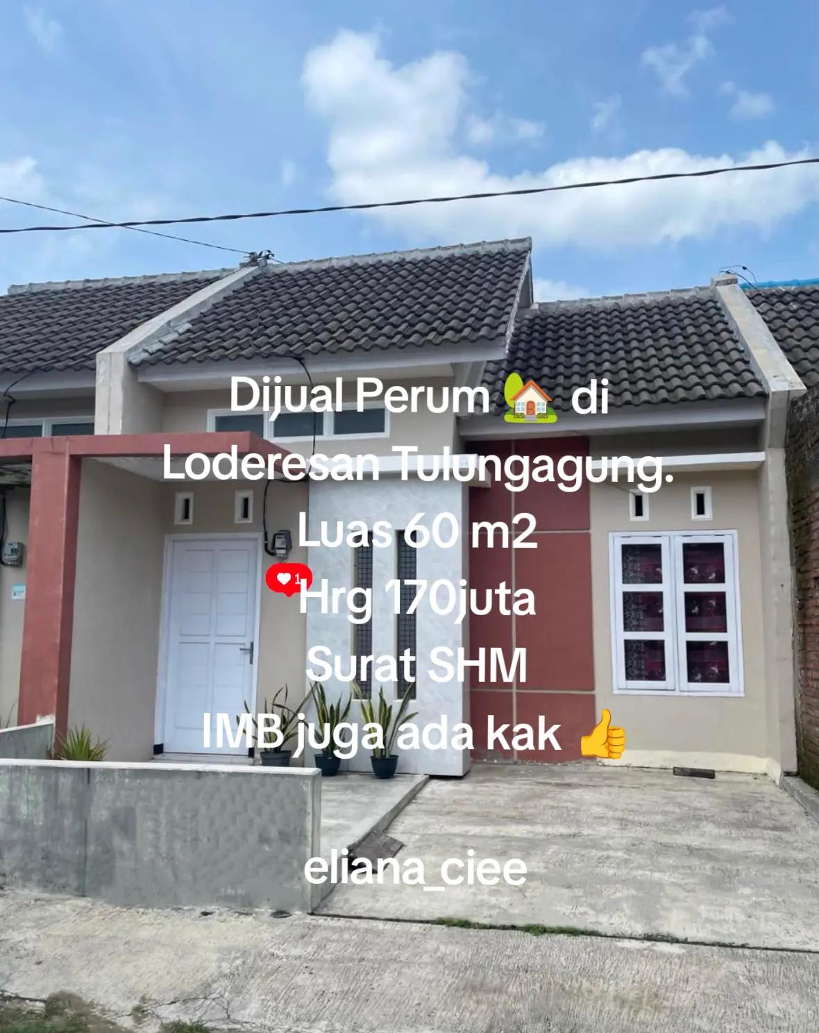 @eliana