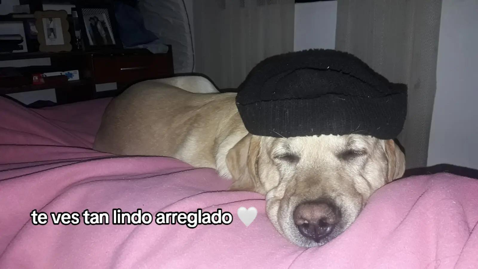 @celee