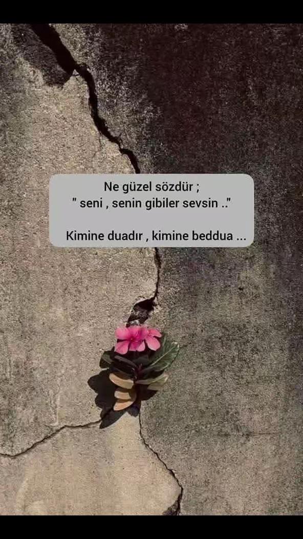 @Yasemin🇹🇷🇹🇷🇹🇷61